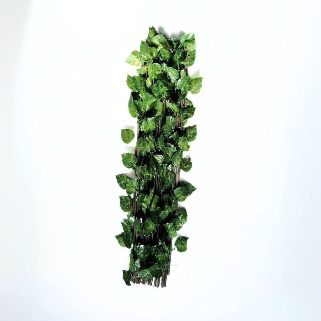 Celosía extensible de mimbre natural con hojas de hiedra 1x2 metros