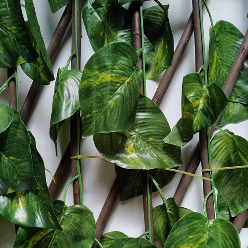 Celosía extensible de mimbre natural con hojas de hiedra 1x2 metros