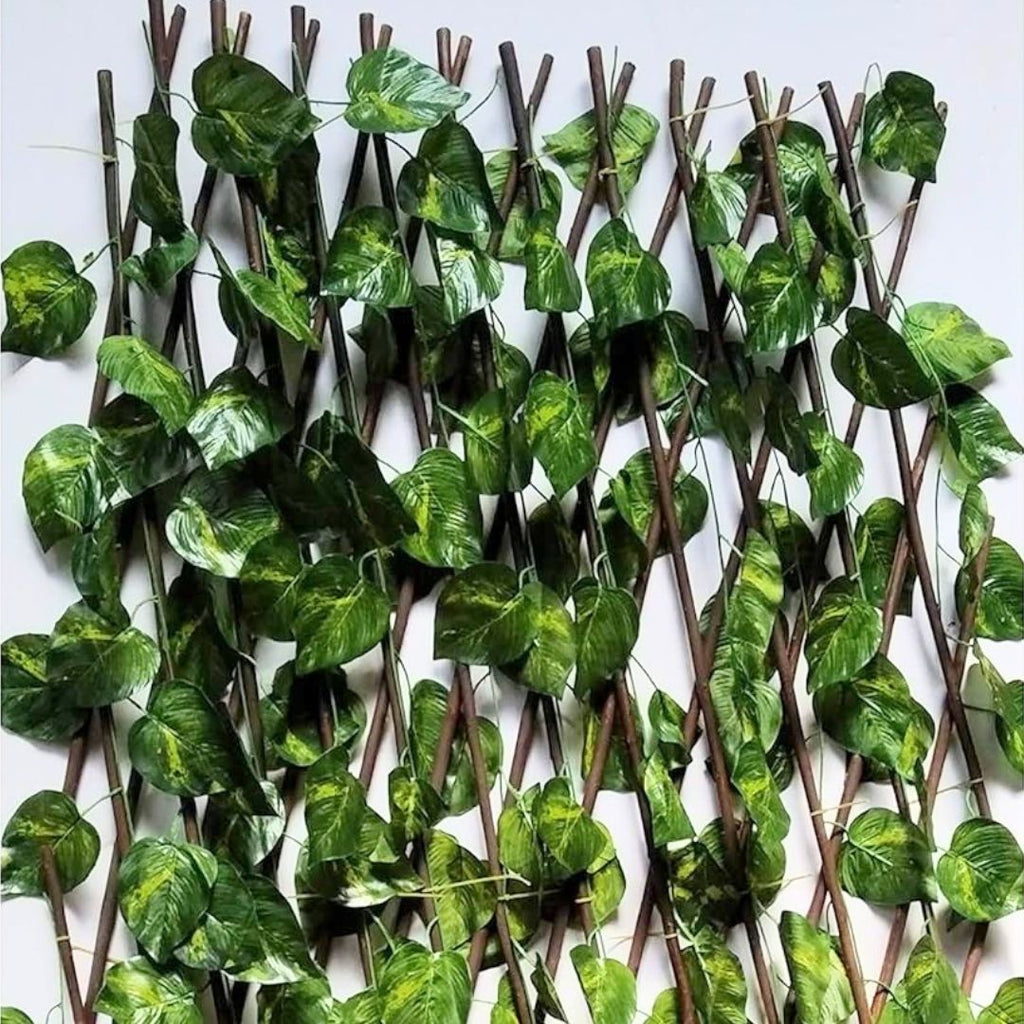 Celosía extensible de mimbre natural con hojas de hiedra 1x2 metros