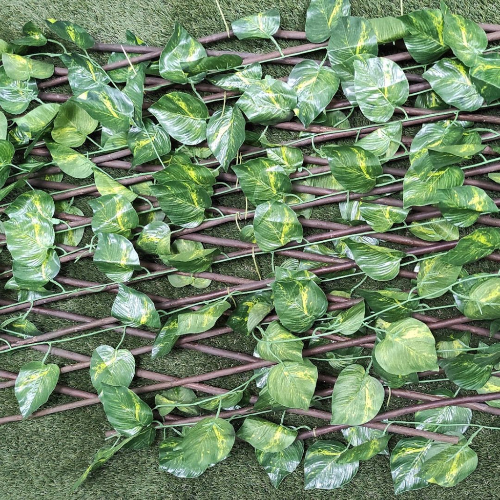 Celosía extensible de mimbre natural con hojas de hiedra 1x2 metros