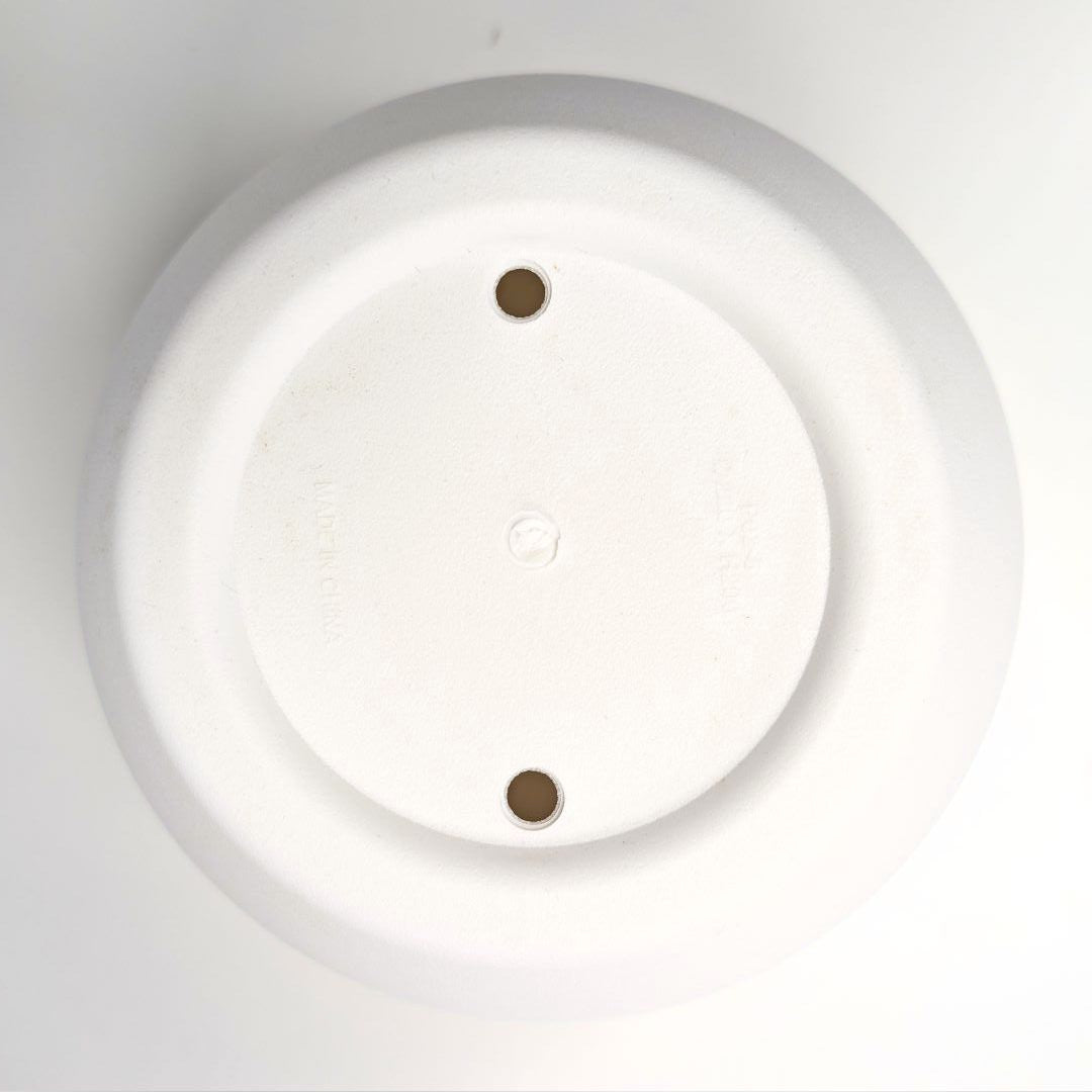 Macetero de PVC para Plantas con Diseño Moderno en Blanco 20x22cm