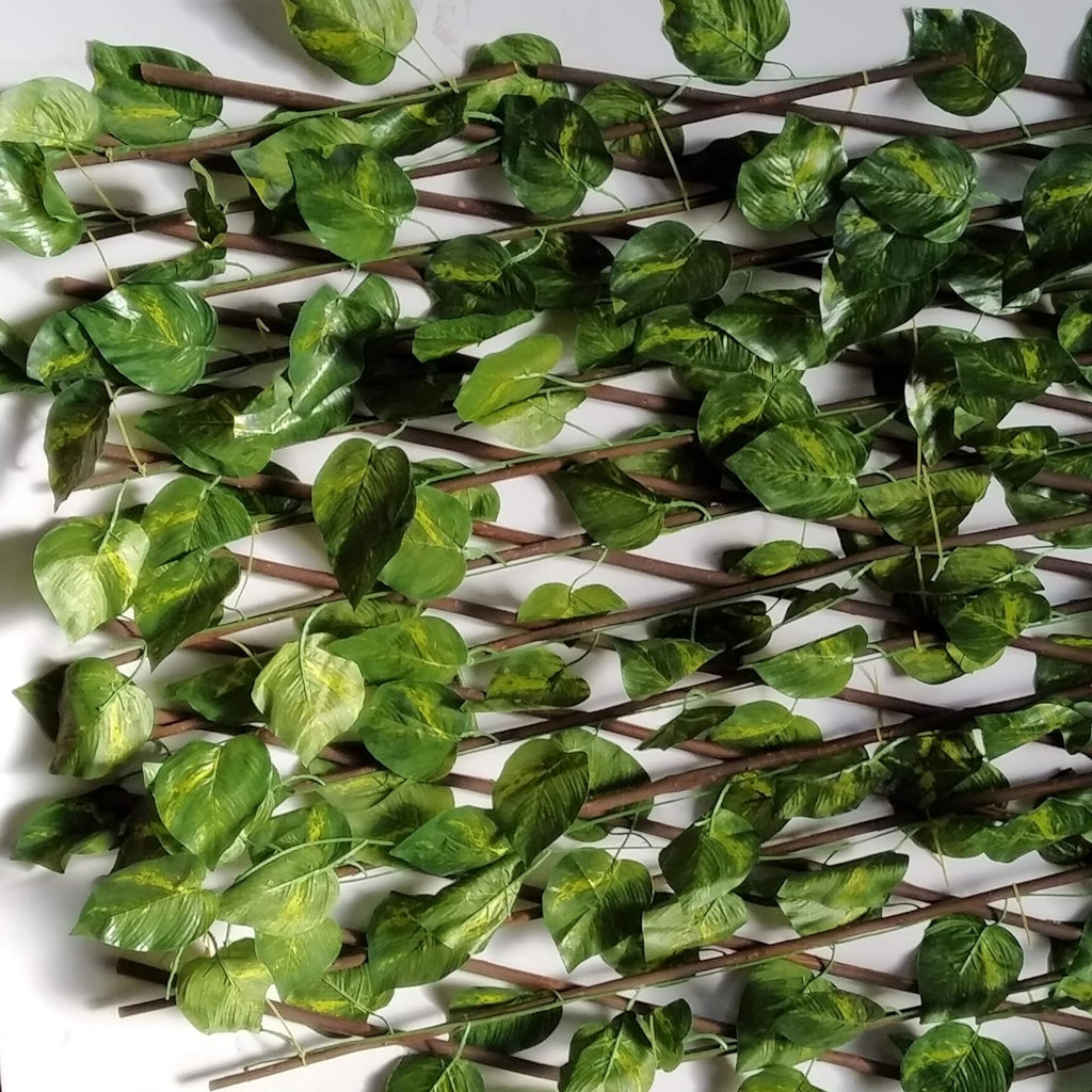 Celosía extensible de mimbre natural con hojas de hiedra 1x2 metros