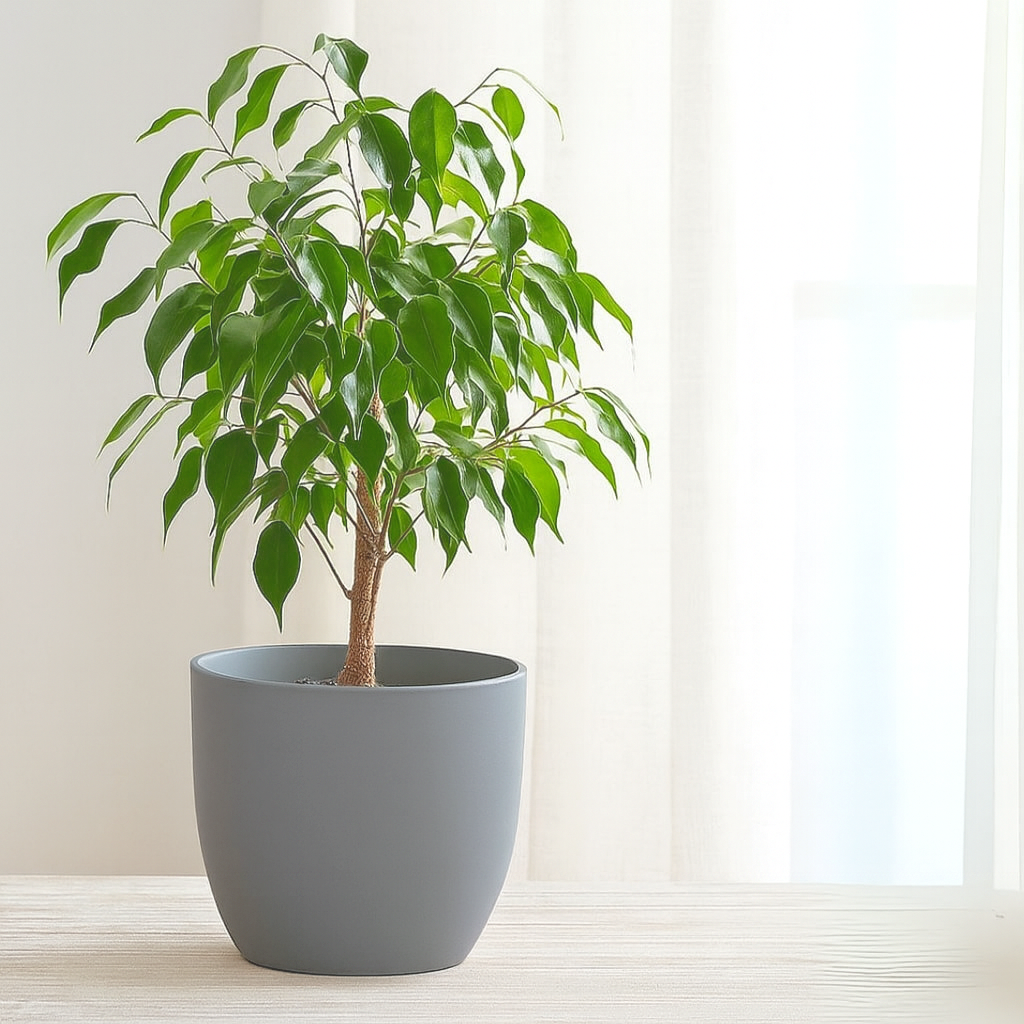 Macetero de PVC Gris para Plantas con Diseño Moderno 20x22cm